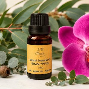 Natural Essential Oil Eucalyptus 15ML